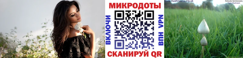 Галлюциногенные грибы Cubensis  Купить  Полысаево 